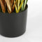 Mica Decorations Pluimgras Dogtail Kunstplant - H120 x Ø45 cm - Groen