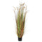 Mica Decorations Pluimgras Dogtail Kunstplant - H180 x Ø85 cm - Groen