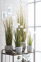 Mica Decorations Pluimgras Dogtail Kunstplant - H180 x Ø85 cm - Groen