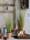 Mica Decorations Pluimgras Dogtail Kunstplant - H92 x Ø35 cm - Groen