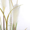Mica Decorations Pluimgras Foxtail Kunstplant - H120 x Ø45 cm - Groen
