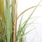 Mica Decorations Pluimgras Foxtail Kunstplant - H120 x Ø45 cm - Groen