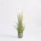 Mica Decorations Pluimgras Foxtail Kunstplant - H120 x Ø45 cm - Groen