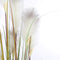 Mica Decorations Pluimgras Foxtail Kunstplant - H180 x Ø80 cm - Groen