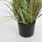 Mica Decorations Pluimgras Foxtail Kunstplant - H180 x Ø80 cm - Groen