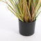 Mica Decorations Pluimgras Foxtail Kunstplant - H81 x Ø45 cm - Wit