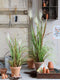 Mica Decorations Pluimgras Foxtail Kunstplant - H81 x Ø45 cm - Wit