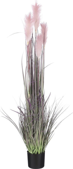 Mica Decorations Pluimgras Kunstplant - H150 cm - Paars