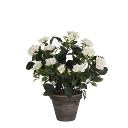 Mica Decorations Rosebush Artificial Plant in Pot - H33 x Ø25 cm - White