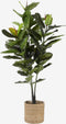 Mica Decorations Rubberplant Kunstplant - H120 x Ø60 cm - Groen
