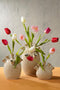 Mica Decorations Saul Tulpenvaas - L26 x B14 x H30,5 cm - Creme