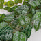 Mica Decorations Scindapsus Kunst Hangplant - H129 cm - Groen