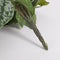 Mica Decorations Scindapsus Kunst Hangplant - H129 cm - Groen