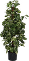 Mica Decorations Scindapsus Kunstplant - H110 x Ø45 cm - Groen