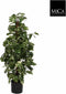 Mica Decorations Scindapsus Kunstplant - H110 x Ø45 cm - Groen