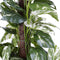 Mica Decorations Scindapsus Kunstplant - H110 x Ø45 cm - Groen