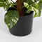 Mica Decorations Scindapsus Kunstplant - H110 x Ø45 cm - Groen