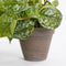 Mica Decorations Scindapsus Kunstplant in Bloempot Stan - H44 x Ø17 cm - Groen