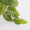 Mica Decorations Scindapsus Kunstplant in Bloempot Stan - H44 x Ø17 cm - Groen