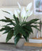 Mica Decorations Spathiphyllum Kunstplant in Bloempot Stan - H50 x Ø40 cm - Wit
