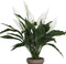 Mica Decorations Spathiphyllum Kunstplant in Bloempot Stan - H50 x Ø40 cm - Wit