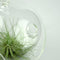 Mica Decorations Sphere Decoratie Glas - H14 x Ø12 cm - Transparant