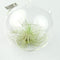 Mica Decorations Sphere Decoratie Glas - H14 x Ø12 cm - Transparant