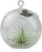 Mica Decorations Sphere Decoratie Glas - H14 x Ø12 cm - Transparant