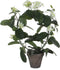 Mica Decorations Stephanotis Kunstplant in Bloempot Stan - H50 x Ø40 cm - Wit