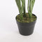 Mica Decorations Strelitzia Kunstplant - H110 x Ø60 cm - Groen
