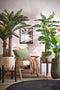 Mica Decorations Strelitzia Kunstplant - H110 x Ø60 cm - Groen