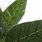 Mica Decorations Strelitzia Kunstplant - H110 x Ø60 cm - Groen