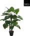 Mica Decorations Taro Kunstplant - H105 x Ø90 cm - Groen