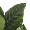 Mica Decorations Taro Kunstplant - H105 x Ø90 cm - Groen