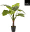 Mica Decorations Taro Kunstplant - H120 x Ø110 cm - Groen