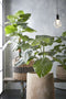 Mica Decorations Taro Kunstplant - H90 x Ø100 cm - Groen
