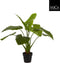 Mica Decorations Taro Kunstplant - H90 x Ø100 cm - Groen