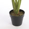 Mica Decorations Taro Kunstplant - H90 x Ø100 cm - Groen