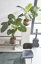 Mica Decorations Taro Kunstplant - H90 x Ø100 cm - Groen