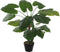 Mica Decorations Taro Kunstplant - H90 x Ø60 cm - Groen