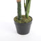 Mica Decorations Taro Kunstplant - H90 x Ø60 cm - Groen