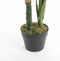 Mica Decorations Taro Kunstplant - H90 x Ø60 cm - Groen