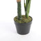 Mica Decorations Taro Kunstplant - H90 x Ø60 cm - Groen