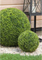 Mica Decorations Theeplant Bol Kunstplant voor Buiten - Ø37 cm - Groen