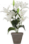 Mica Decorations Tijgerlelie Kunstplant in Bloempot Stan - H47 x Ø45 cm - Wit