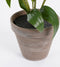 Mica Decorations Tijgerlelie Kunstplant in Bloempot Stan - H47 x Ø45 cm - Wit
