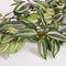Mica Decorations Tradescantia Kunst Hangplant - L15 x B30 x H80 cm - Groen