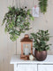 Mica Decorations Tradescantia Kunst Hangplant - L15 x B30 x H80 cm - Groen