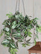 Mica Decorations Tradescantia Kunstplant - 25 x 25 x 45 cm - 4 Stuks