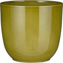 Mica Decorations Tusca Bloempot - 19x19x18 cm - Keramiek - Groen